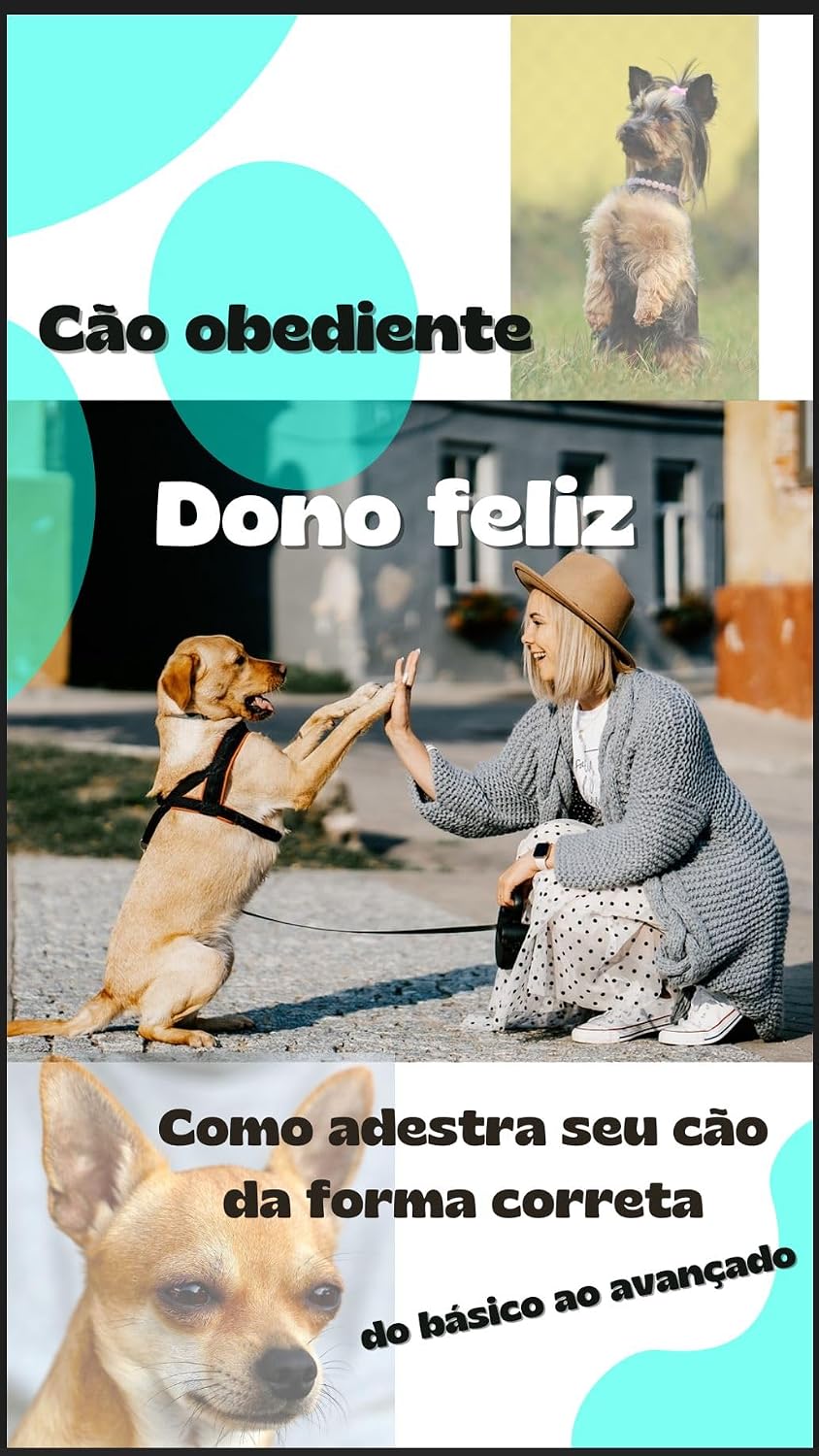 ler totalmente Como adestra seu cão da forma correta do básico ao avançado.