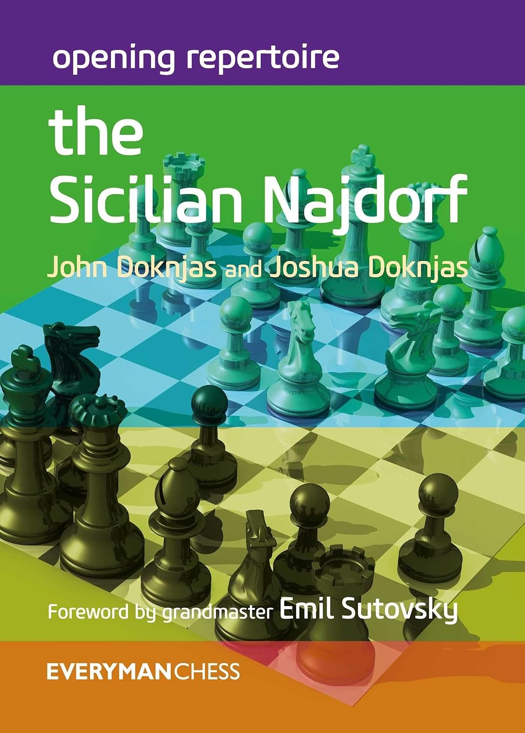 Opening Repertoire: The Sicilian Najdorf baixar livro de graça