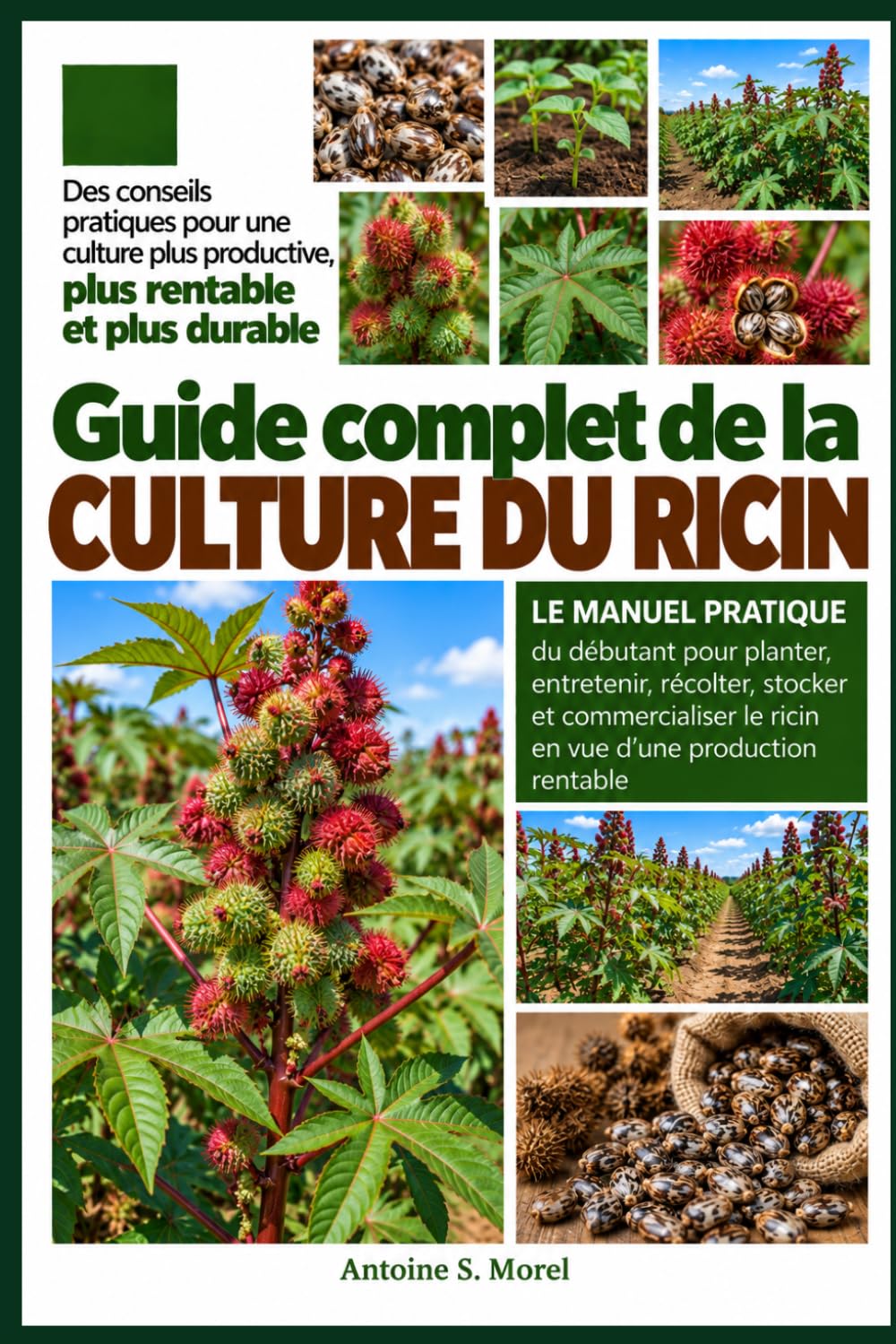 GUIDE COMPLET DE LA CULTURE DU RICIN: Le manuel pratique du débutant pour planter, entretenir, récolter, stocker et commercialiser le ricin en vue d’une production rentable (French Edition) baixar o livro de graça