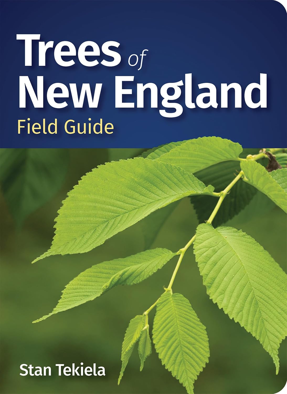 ler totalmente Trees of New England Field Guide (Tree Identification Guides) (English Edition)