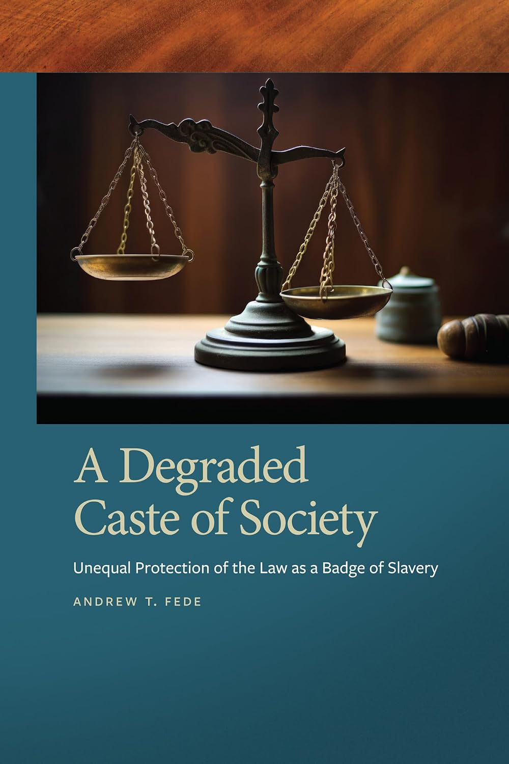 A Degraded Caste of Society: Unequal Protection of the Law as a Badge of Slavery (Southern Legal Studies Book 7) (English Edition) baixar o livro de graça