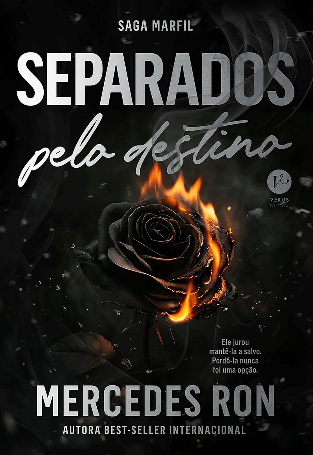 Separados pelo destino (Vol. 2 Saga Marfil) baixar livro de graça