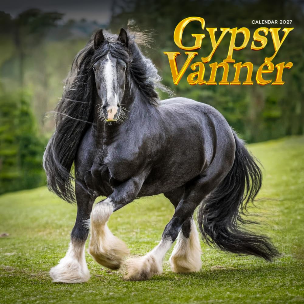 Gypsy Vanner Horse Calendar 2027 baixar o livro de graça