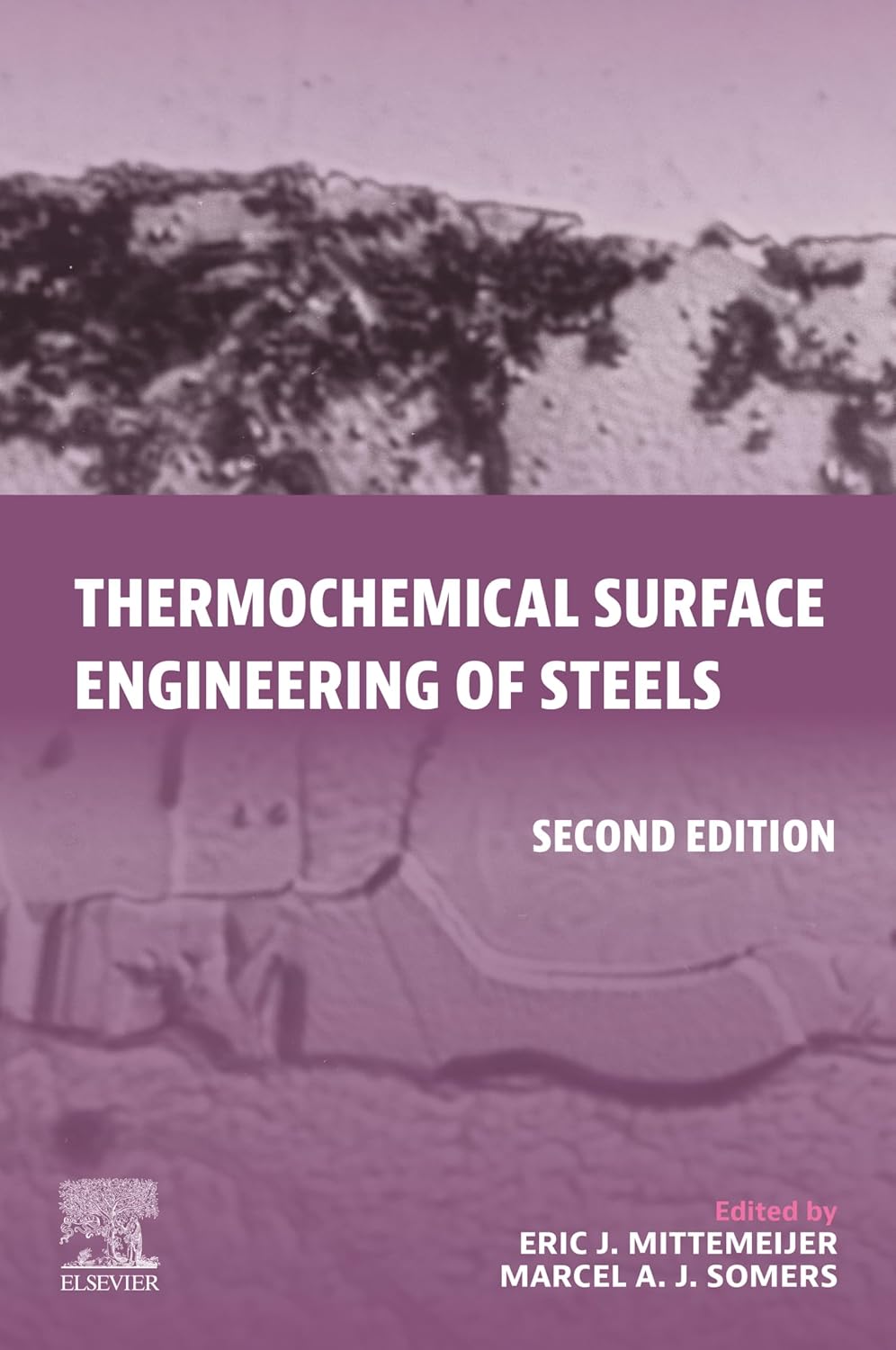 ler totalmente Thermochemical Surface Engineering of Steels (Woodhead Publishing Series in Metals and Surface Engineering) (English Edition)