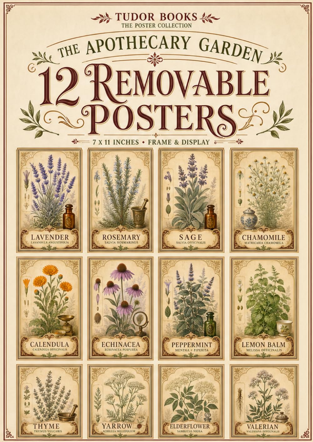 The Apothecary Garden: 12 Removable Botanical Herb Posters: Vintage Herbal Wall Art Featuring Lavender, Rosemary, Sage, Chamomile, Calendula,... & Valerian (12 Posters to Frame & Display) baixar livro de graça