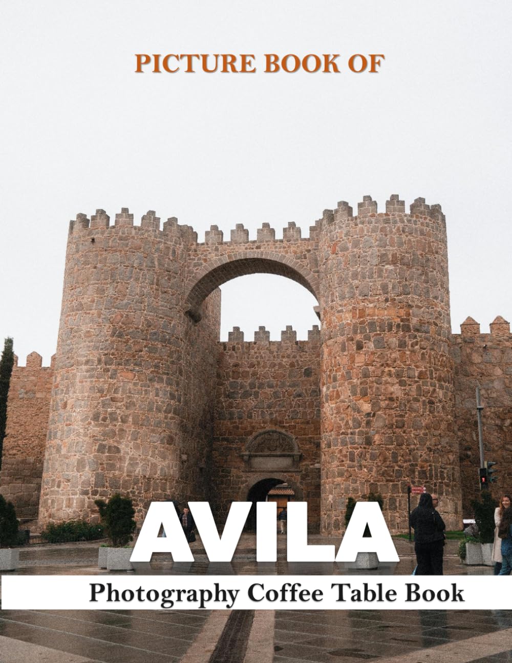 AVILA SPAIN: Wonderful pictures that give you an idea of an amazing country, the style of buildings, castles, etc., for all travel lovers. baixar o livro de graça