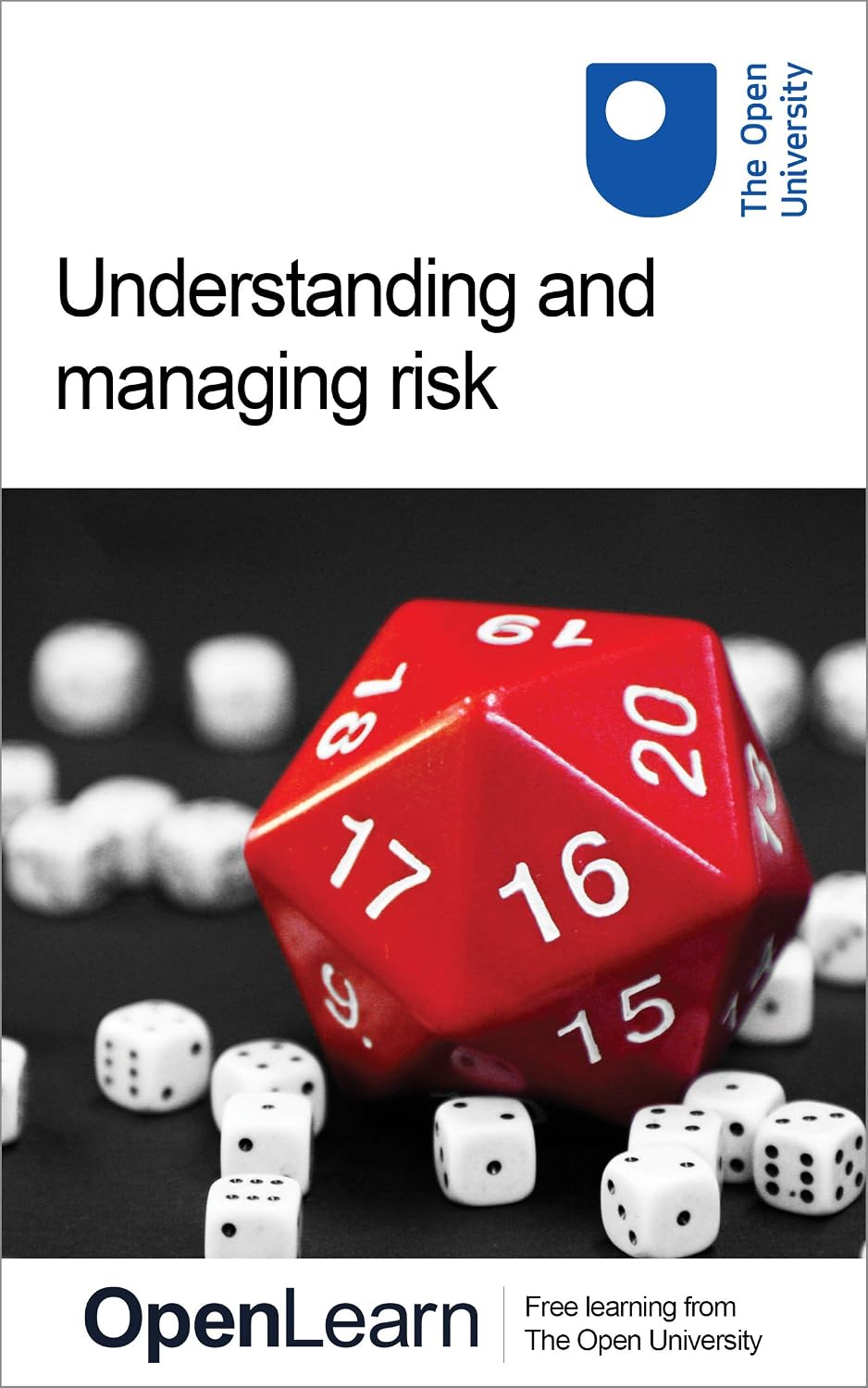 ler totalmente Understanding and managing risk (English Edition)