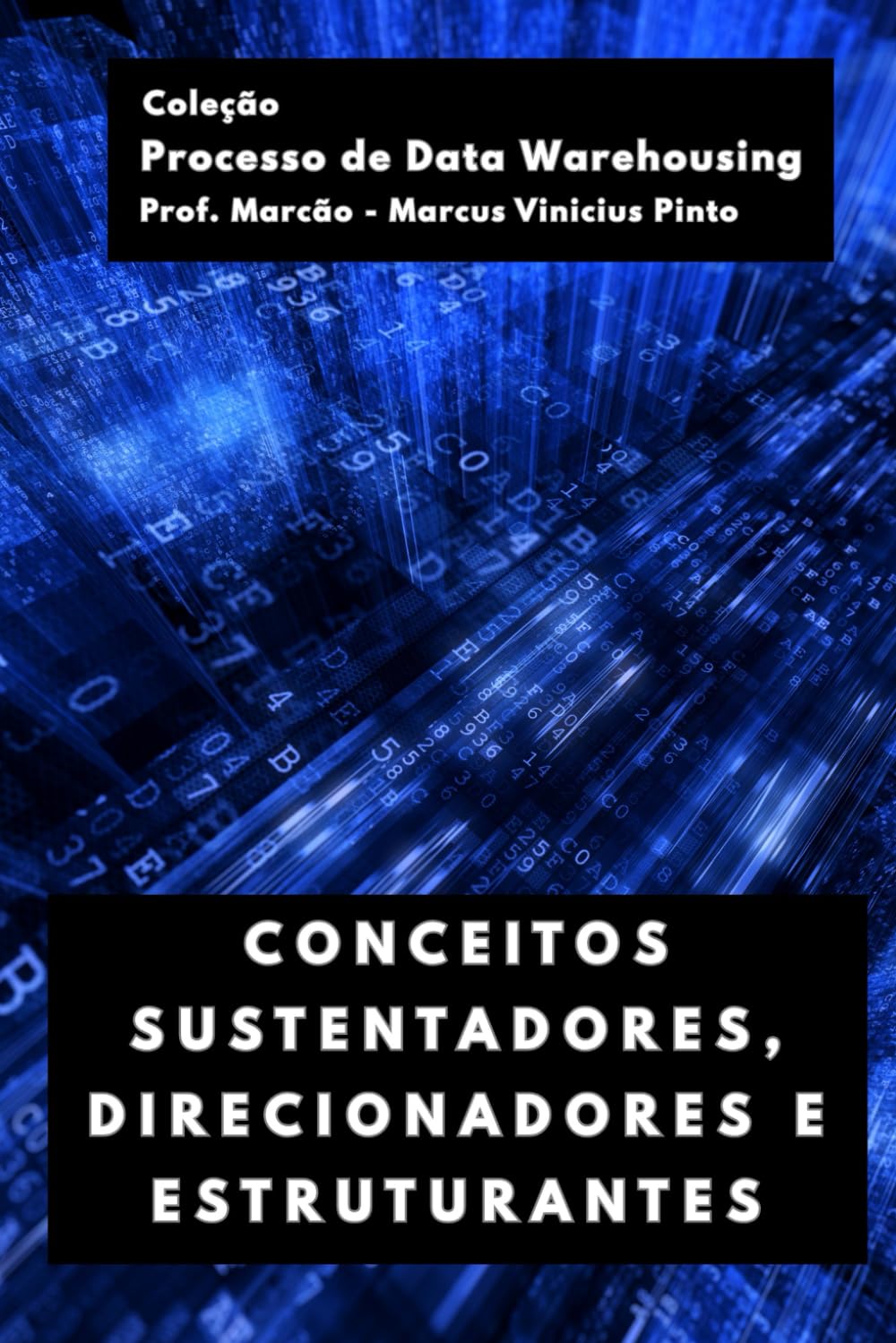 CONCEITOS SUSTENTADORES, DIRECIONADORES E ESTRUTURANTES (Processo de Data Warehousing) (Portuguese Edition) baixar o livro de graça