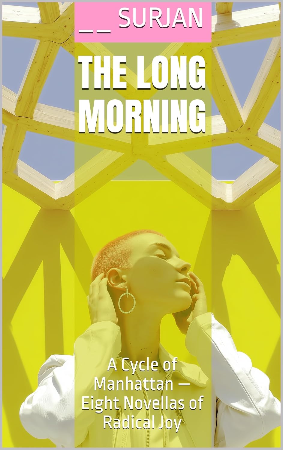 THE LONG MORNING: A Cycle of Manhattan — Eight Novellas of Radical Joy (English Edition) baixar o livro de graça