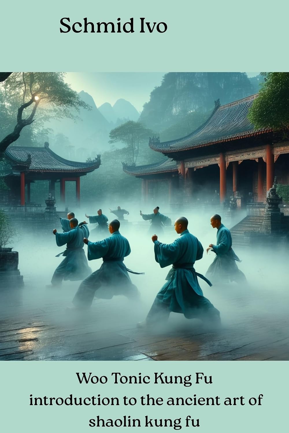 Woo Tonic Kung Fu introduction to the ancient art of shaolin kung fu: Woo Tonic Kung Fu Education in Selfdefense and Martial Arts (Woo Tonic Kung Fu Self Defense Martial Arts Book 1) (English Edition) baixar o livro de graça