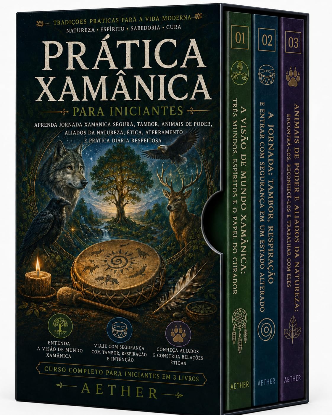 Prática xamânica para iniciantes baixar o livro de graça