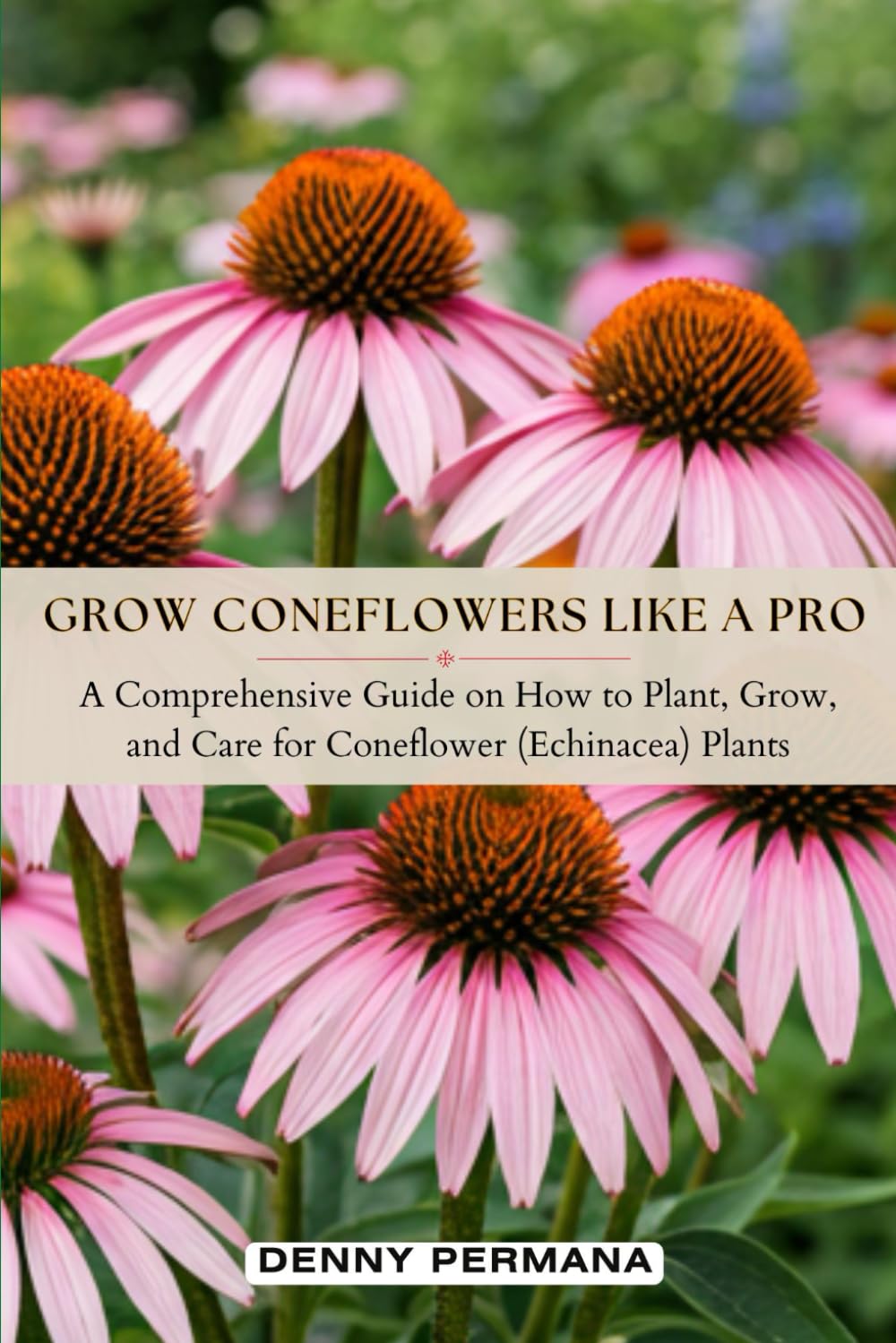 ler totalmente Grow Coneflowers Like a Pro: How to Plant, Grow, and Care for Healthy Coneflower Echinacea Plants