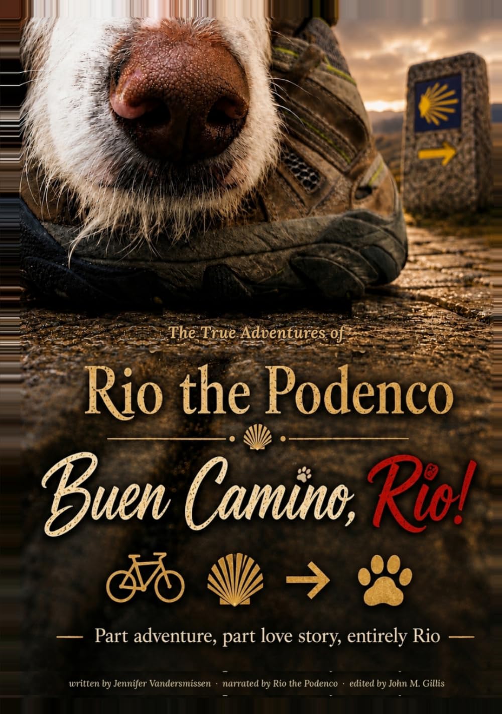 Buen Camino, Rio!: The True Adventures of Rio the Podenco baixar o livro de graça