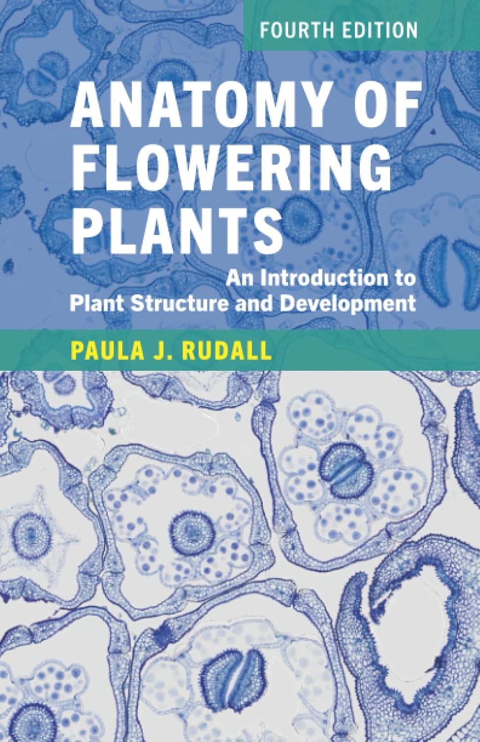 ler totalmente Anatomy of Flowering Plants: An Introduction to Plant Structure and Development