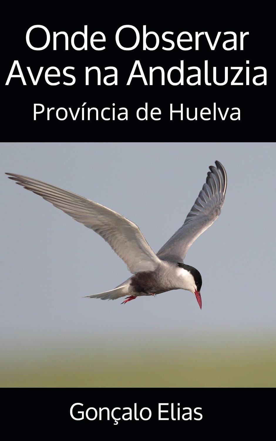 Onde Observar Aves na Andaluzia: Província de Huelva baixar livro de graça