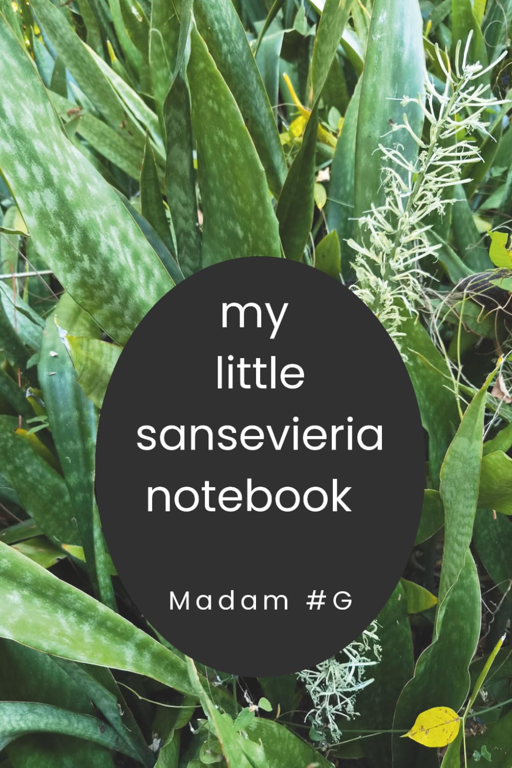 My Little Sansevieria Notebook baixar livro de graça