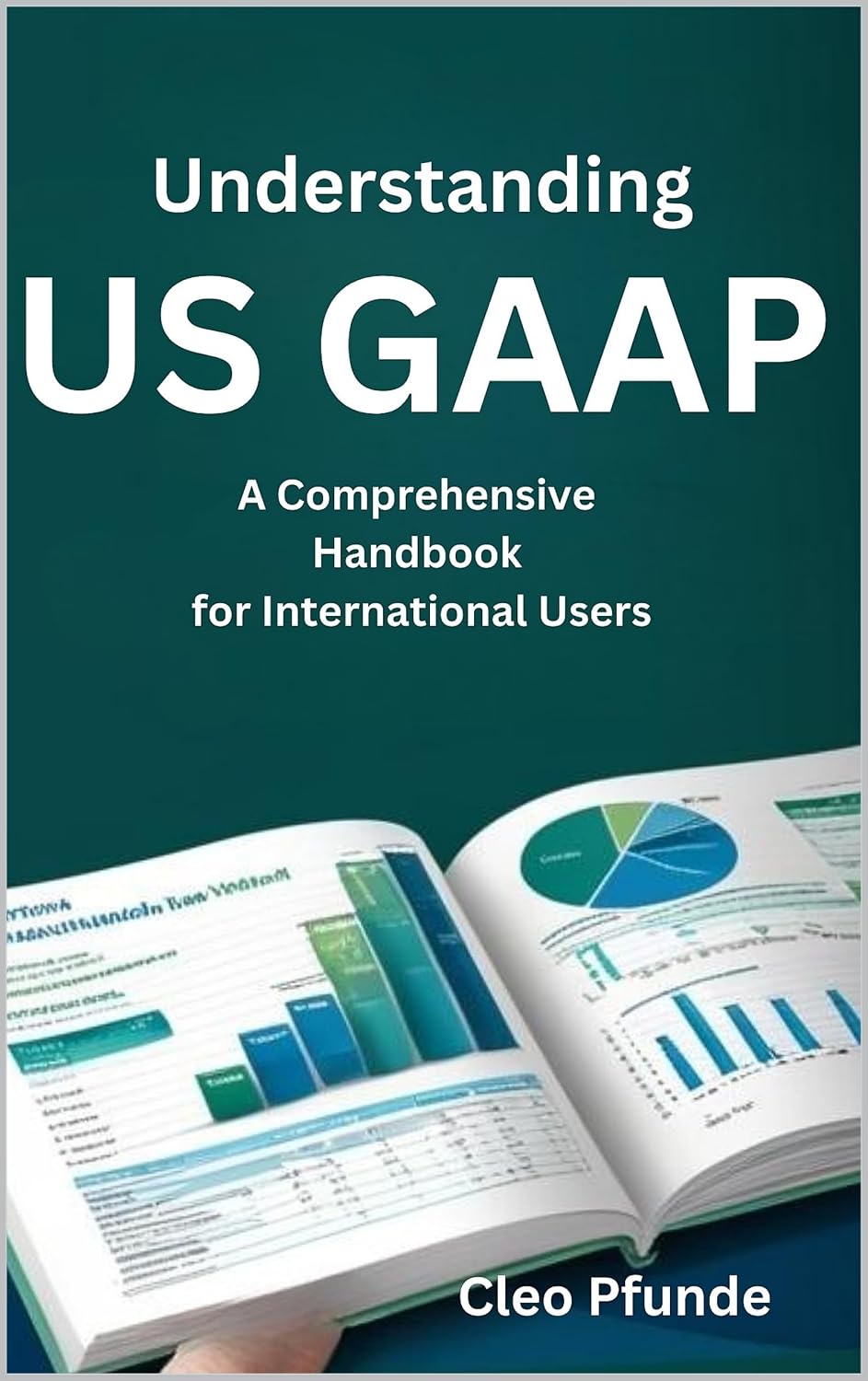 Understanding US GAAP: A Comprehensive Handbook for International Users (English Edition) baixar o livro de graça
