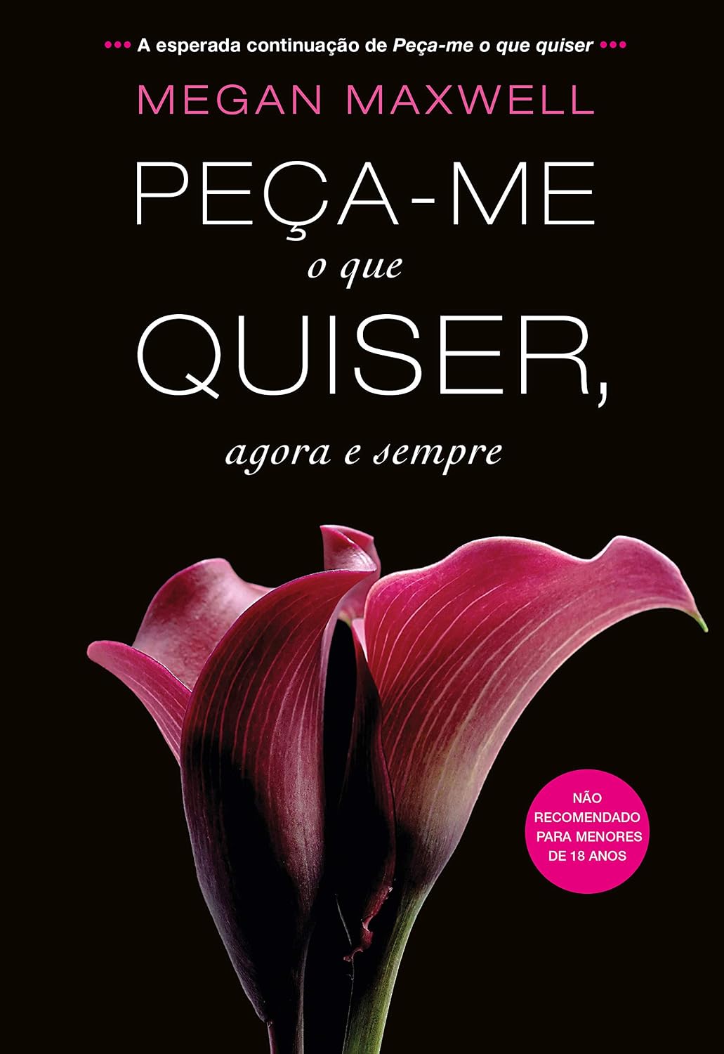Peça-me o que quiser, agora e sempre baixar o livro de graça