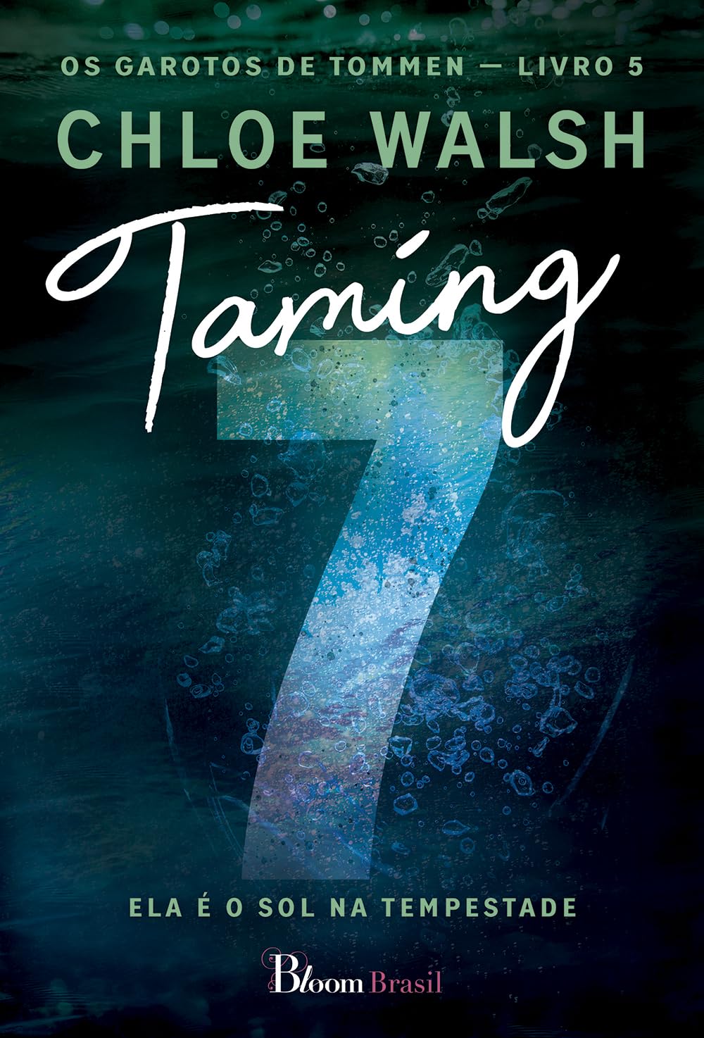 Taming 7: Ela é o sol na tempestade: 5 baixar livro de graça