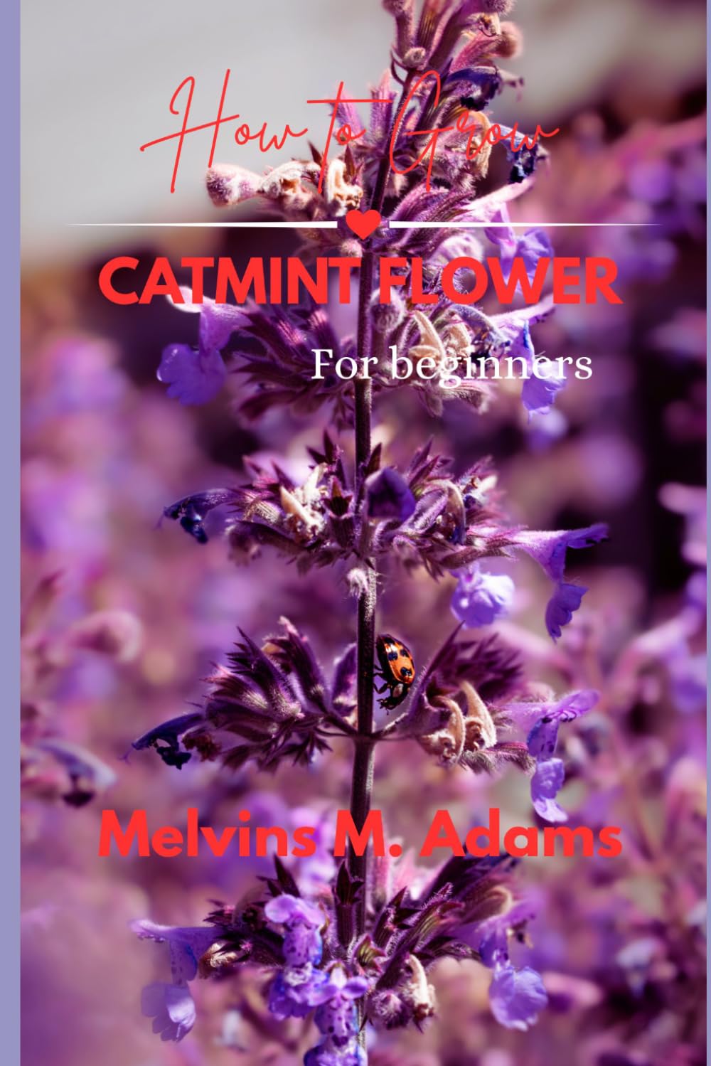 ler totalmente How to Grow Catmint Flower for Beginners: The Ultimate Beginner's Guide to Growing, Caring for, and Harvesting Stunning Catmint at Home and garden