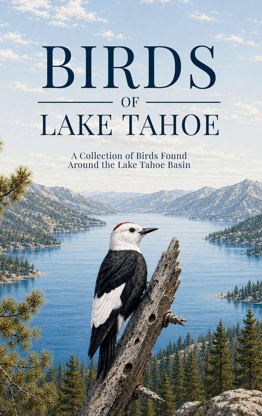 capítulo por capítulo baixar Birds of Lake Tahoe: A Collection of Birds Found Around the Lake Tahoe Basin