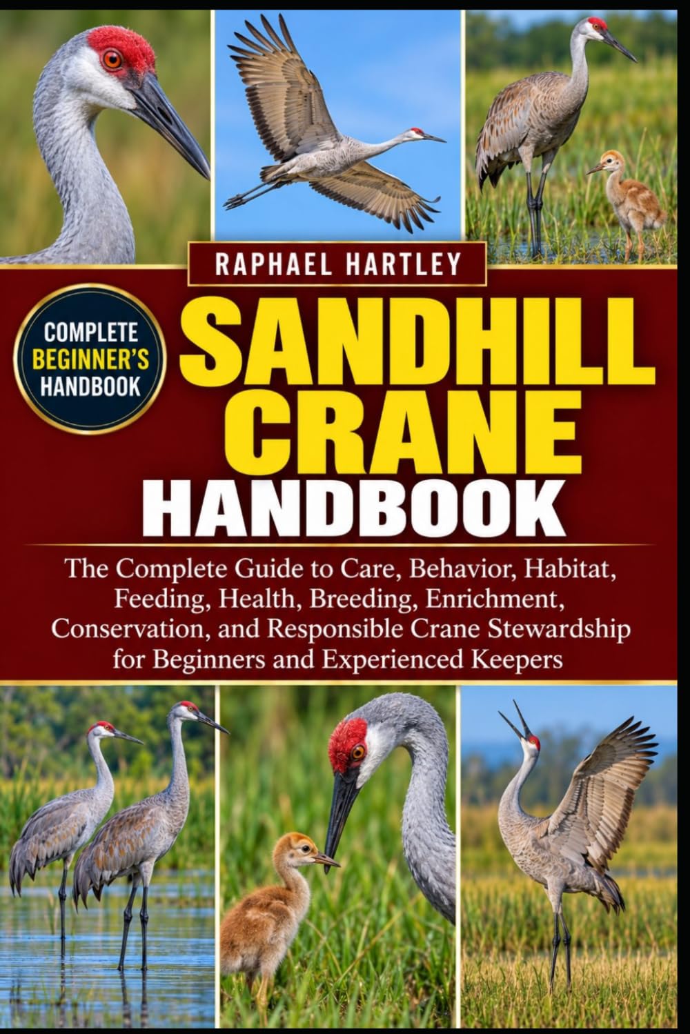 capítulo por capítulo baixar Sandhill Crane Handbook: The Complete Guide to Care, Behavior, Habitat, Feeding, Health, Breeding, Enrichment, Conservation, and Responsible Crane Stewardship for Beginners and Experienced Keepers