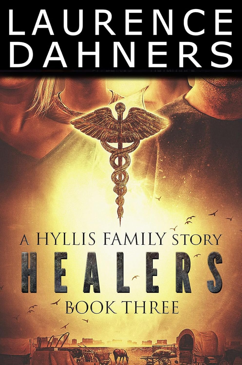 Healers (a Hyllis Family story #3) (English Edition) baixar livro de graça
