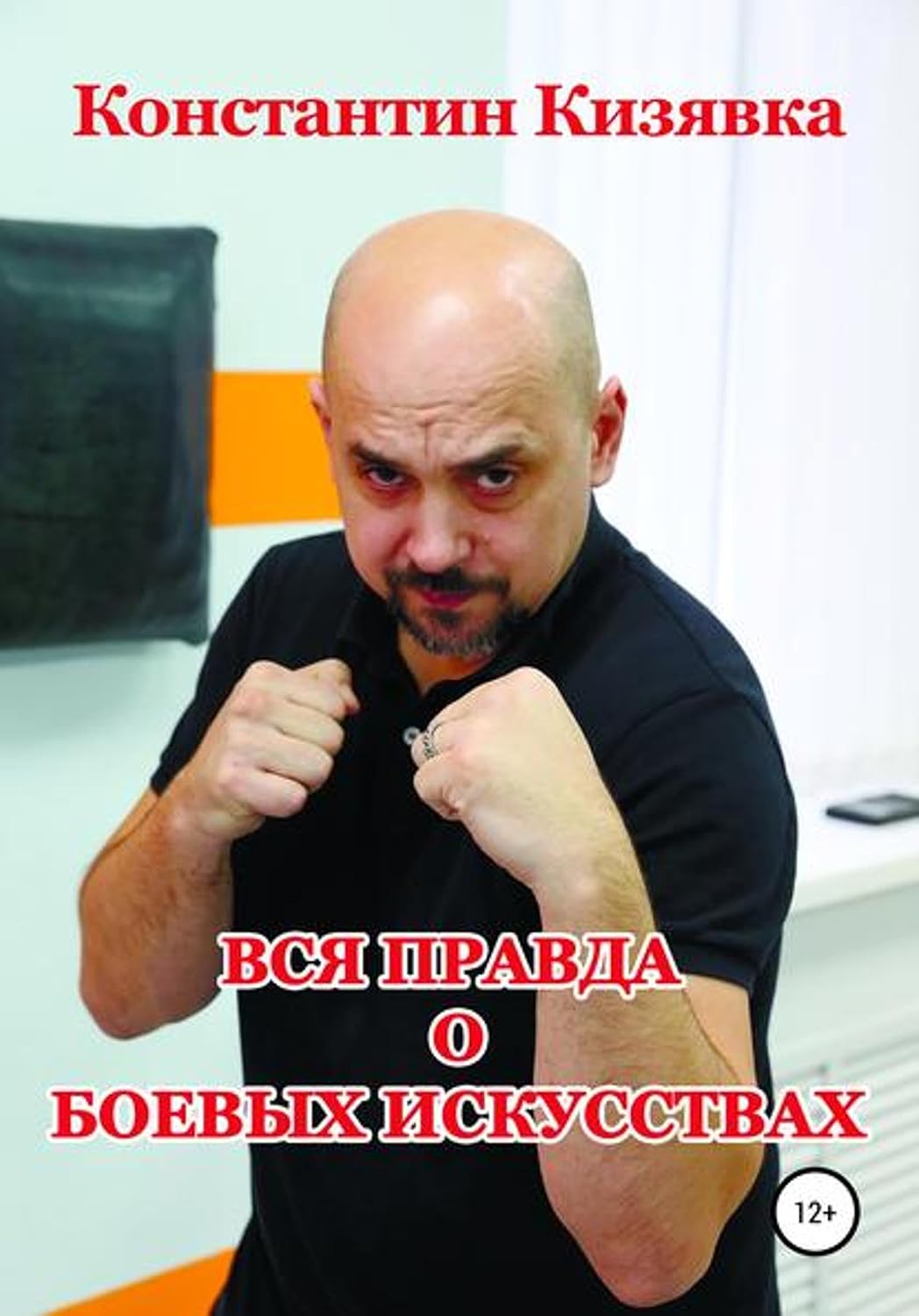 Вся правда о боевых искусствах (Russian Edition) baixar o livro de graça