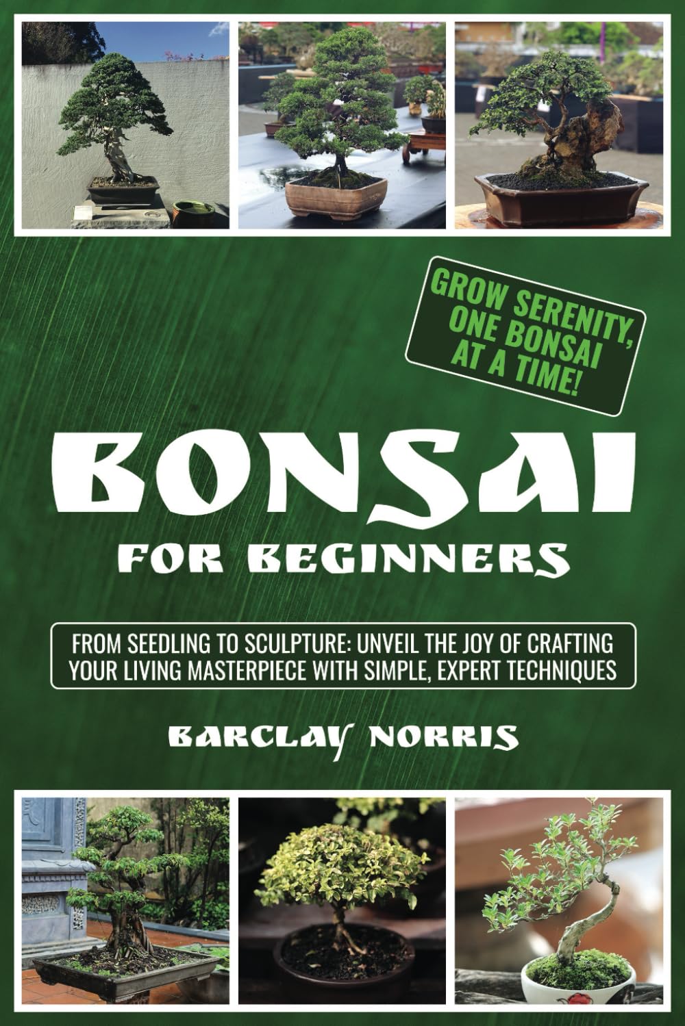 capítulo por capítulo baixar Bonsai for Beginners: From Seedling to Sculpture: Unveil the Joy of Crafting Your Living Masterpiece with Simple, Expert Techniques