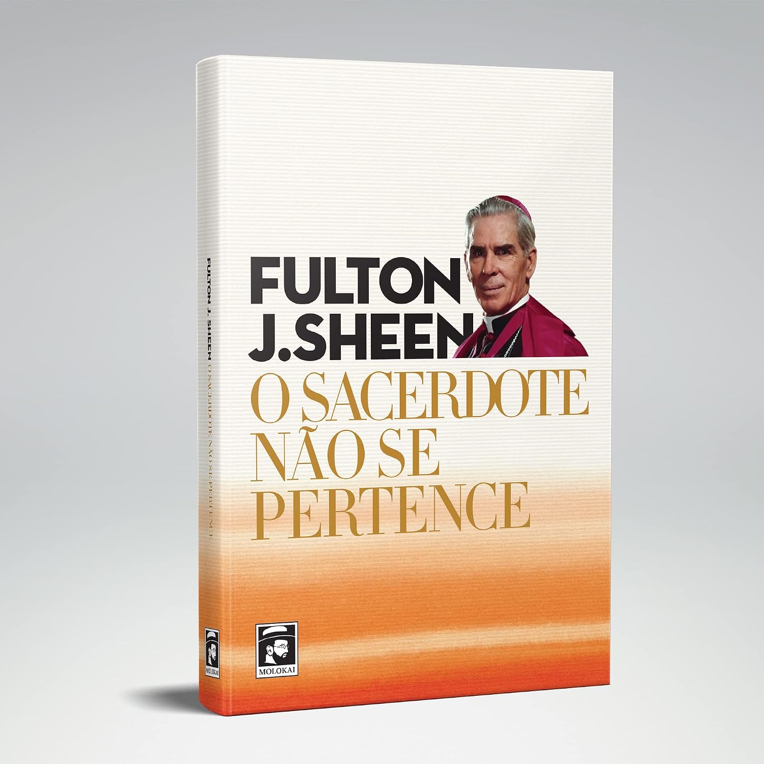 O SACERDOTE NÃO SE PERTENCE baixar o livro de graça