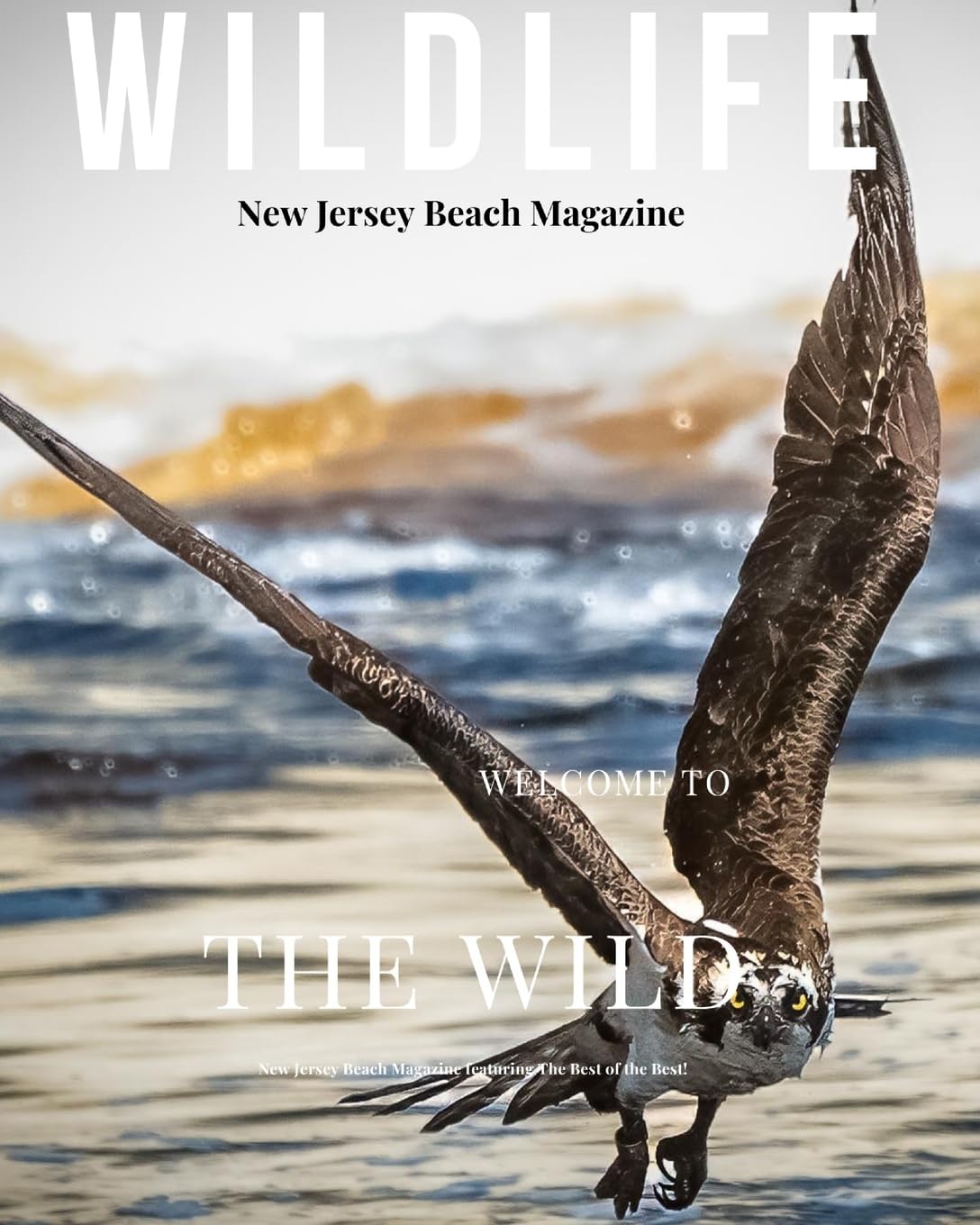 New Jersey Beach Magazine Wildlife 2024: New Jersey Wildlife baixar o livro de graça