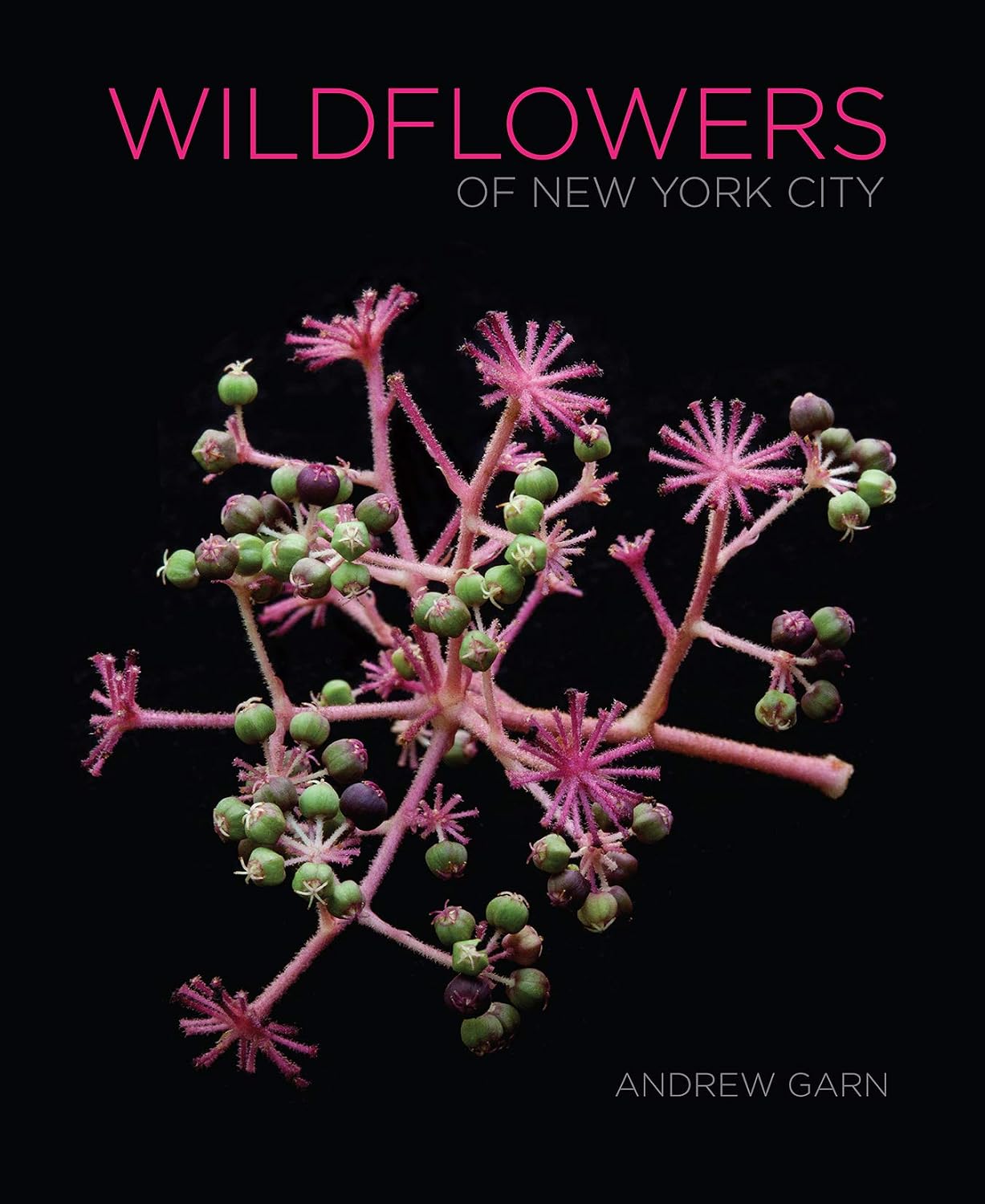 ler totalmente Wildflowers of New York City