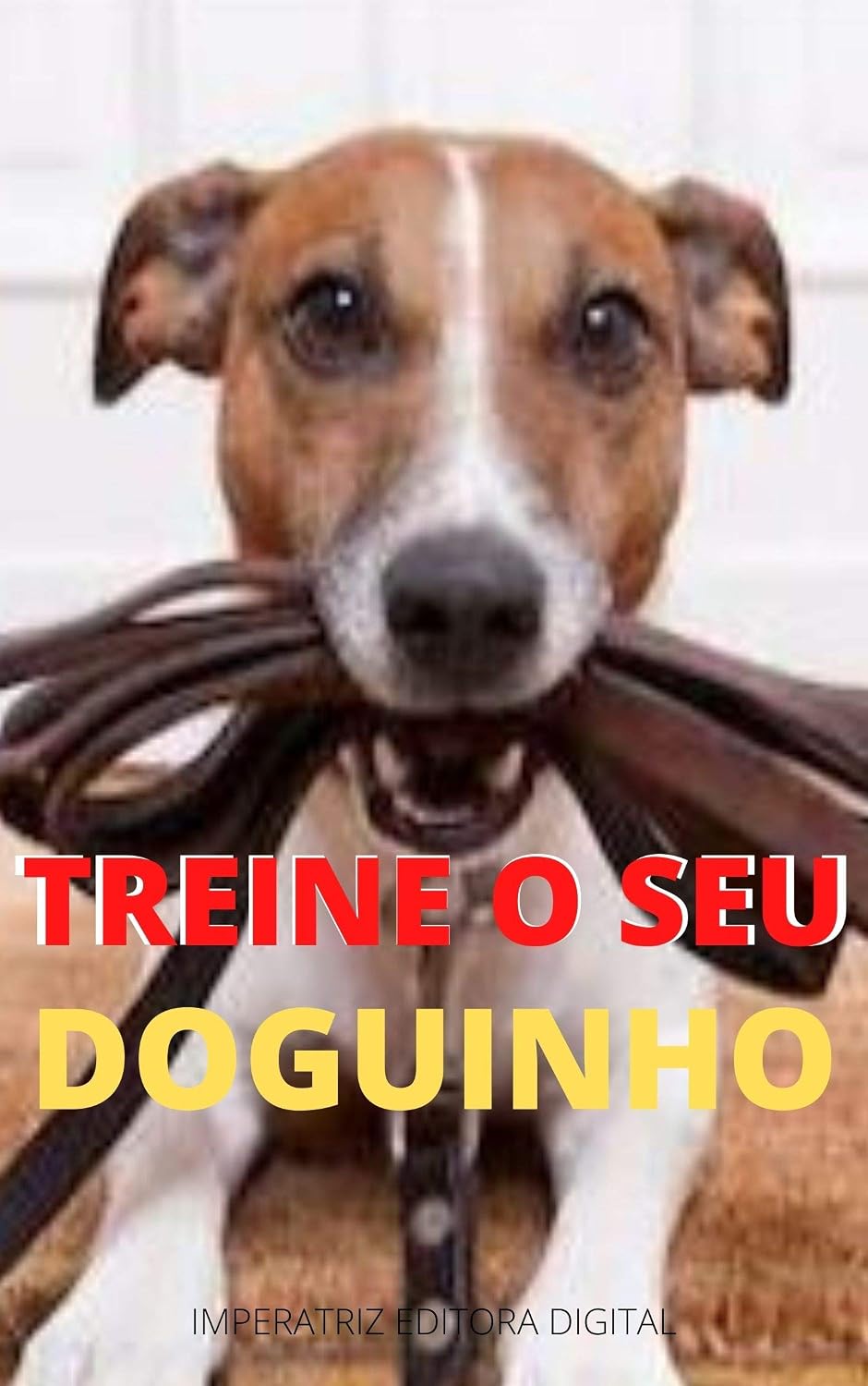 Treine o seu doguinho: com facilidade baixar livro de graça