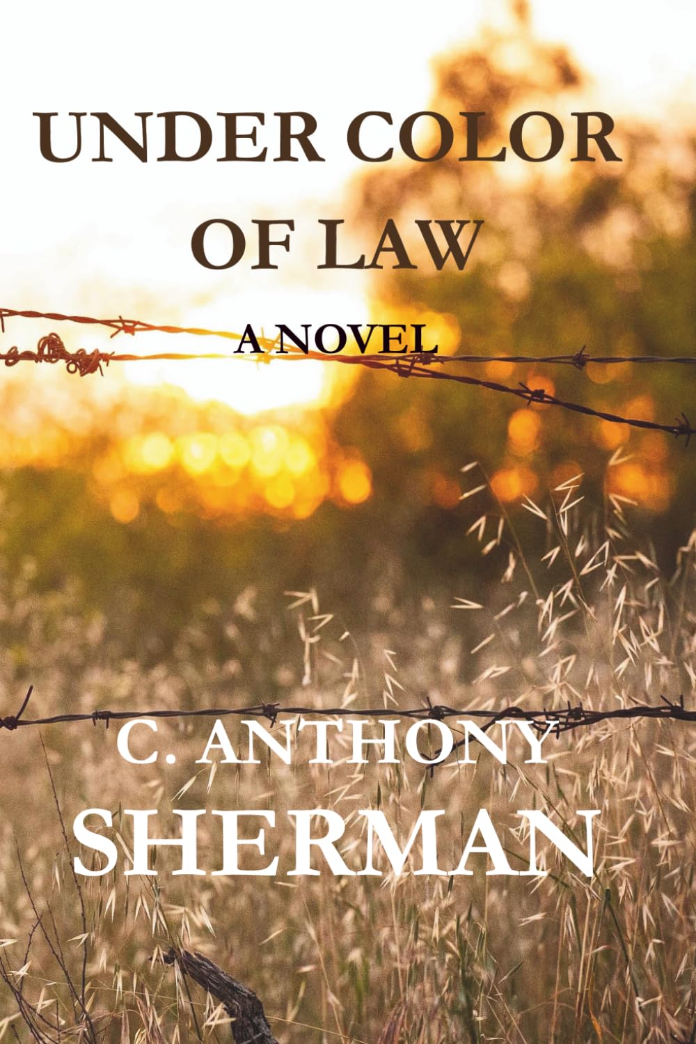 UNDER COLOR OF LAW (THE INHERITANCE SERIES) baixar o livro de graça