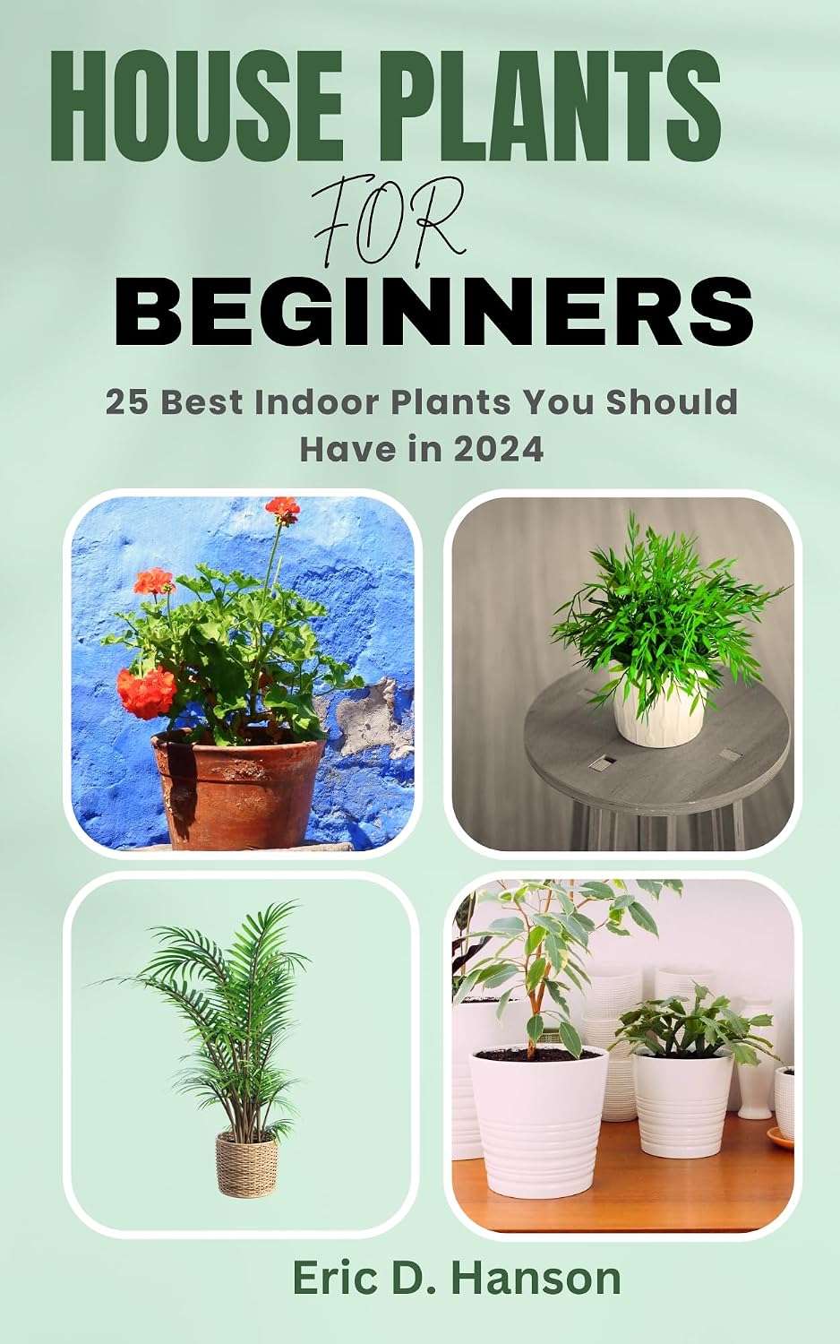 HOUSE PLANTS FOR BEGINNERS: 25 Best Indoor Plants You Should Have in 2024 (English Edition) baixar livro de graça