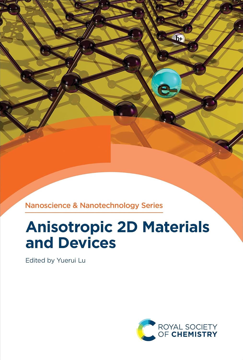 Anisotropic 2D Materials and Devices (English Edition)