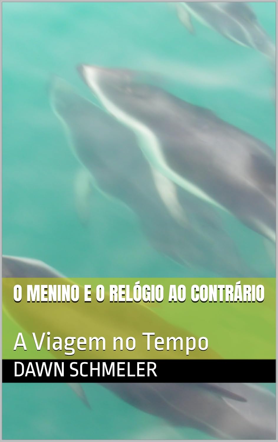 ler totalmente O Menino e o Relógio ao Contrário: A Viagem no Tempo