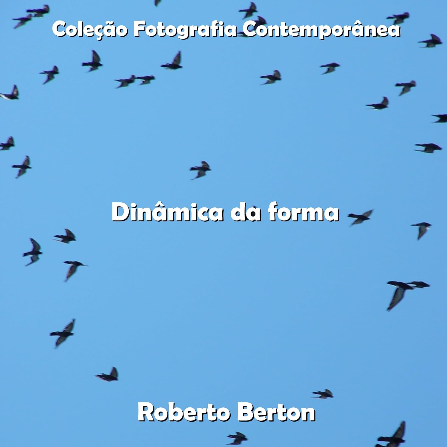ler totalmente Dinâmica da forma (Coleção Fotografia Contemporânea)