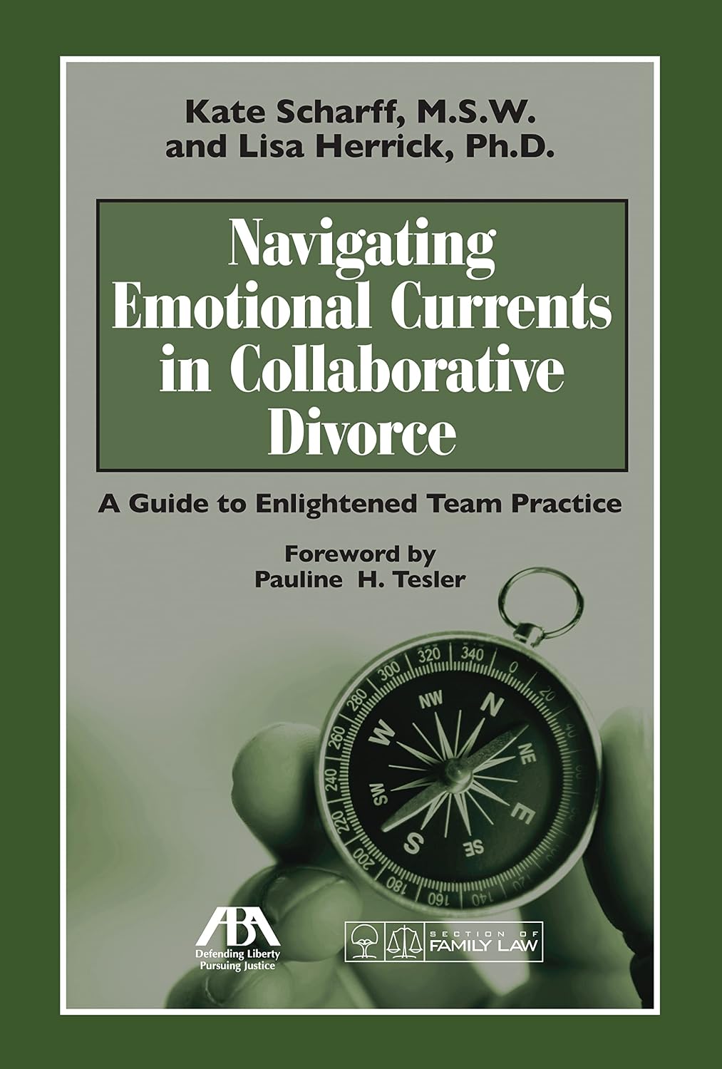Navigating Emotional Currents in Collaborative Divorce: A Guide to Enlightened Team Practice (English Edition) baixar livro de graça