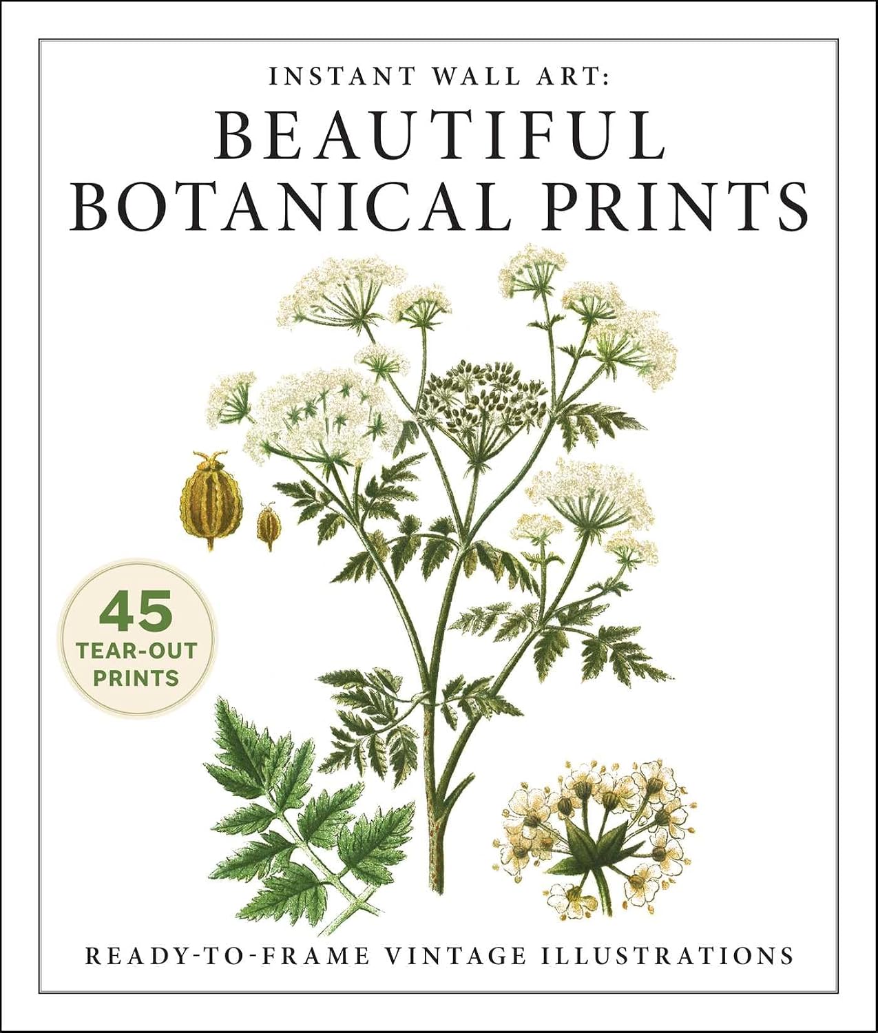 Instant Wall Art: Beautiful Botanical Prints: Ready-To-Frame Vintage Illustrations