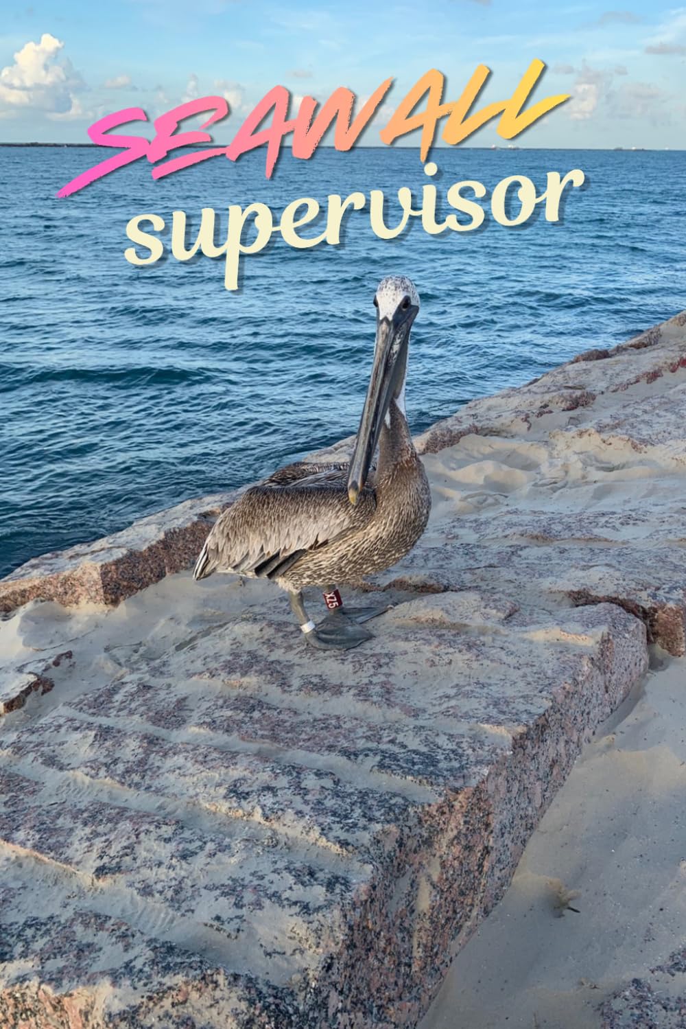 Seawall Supervisor baixar livro de graça