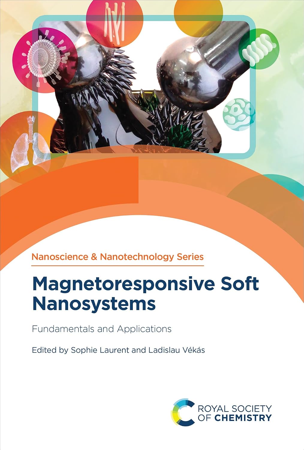 Magnetoresponsive Soft Nanosystems: Fundamentals and Applications (English Edition)