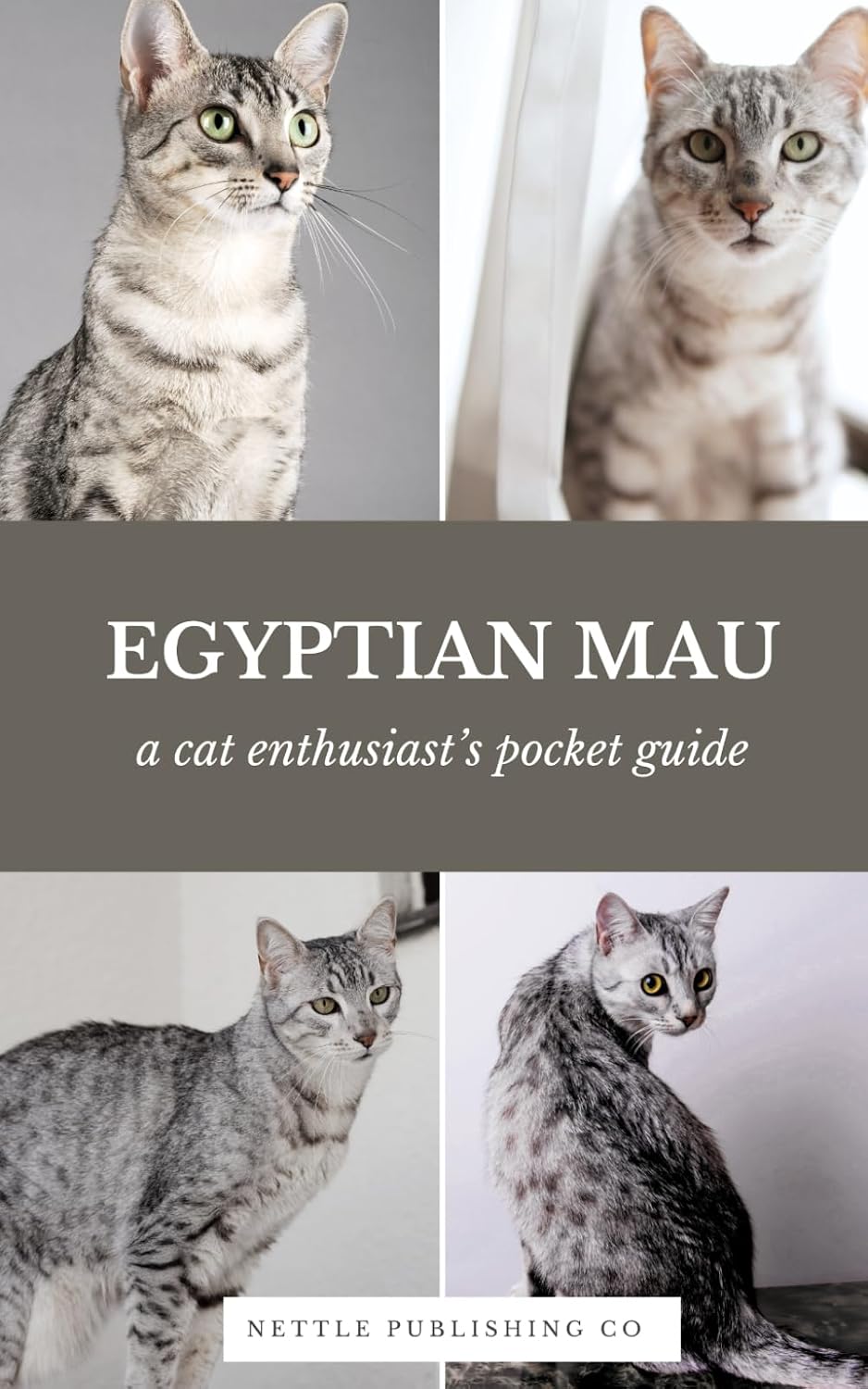 ler totalmente Egyptian Mau Cats | A Complete Pocket Guide Book: Breed-Specific Care Handbook With Pet Passport with Records Logbook