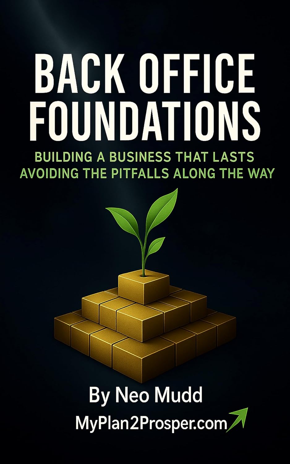 ler totalmente Back Office Foundations: Building a Business That Lasts and Avoiding the Pitfalls Along the Way (English Edition)