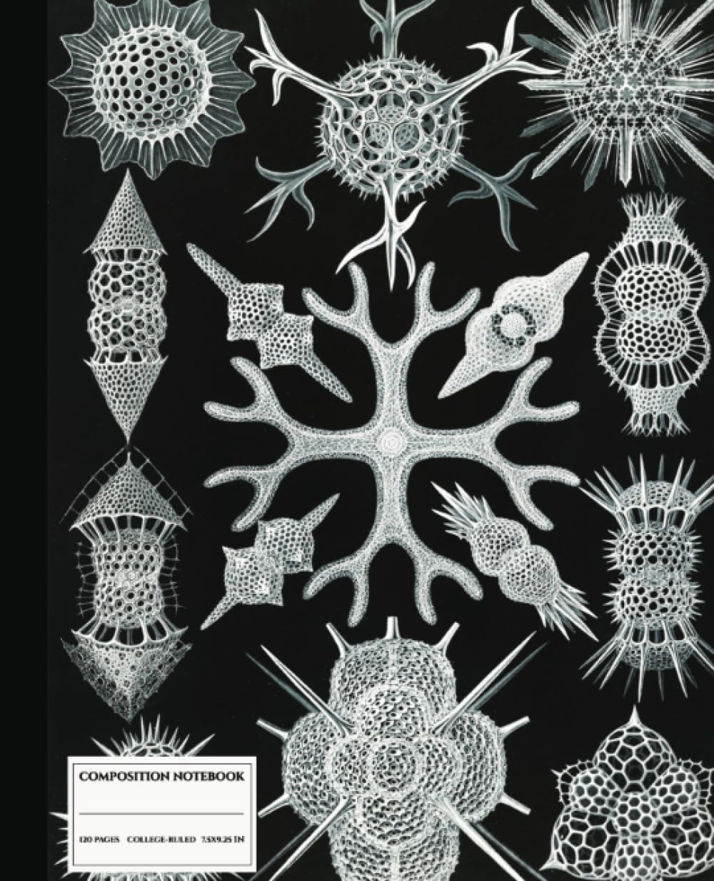 Composition Notebook College Ruled: Spumellaria Spectacle: Microscopic But Beautiful: |Ernst Haeckel Ocean Life Themed Journal Perfect for Girls, Men, Scientists, Art Lovers and Students baixar o livro de graça