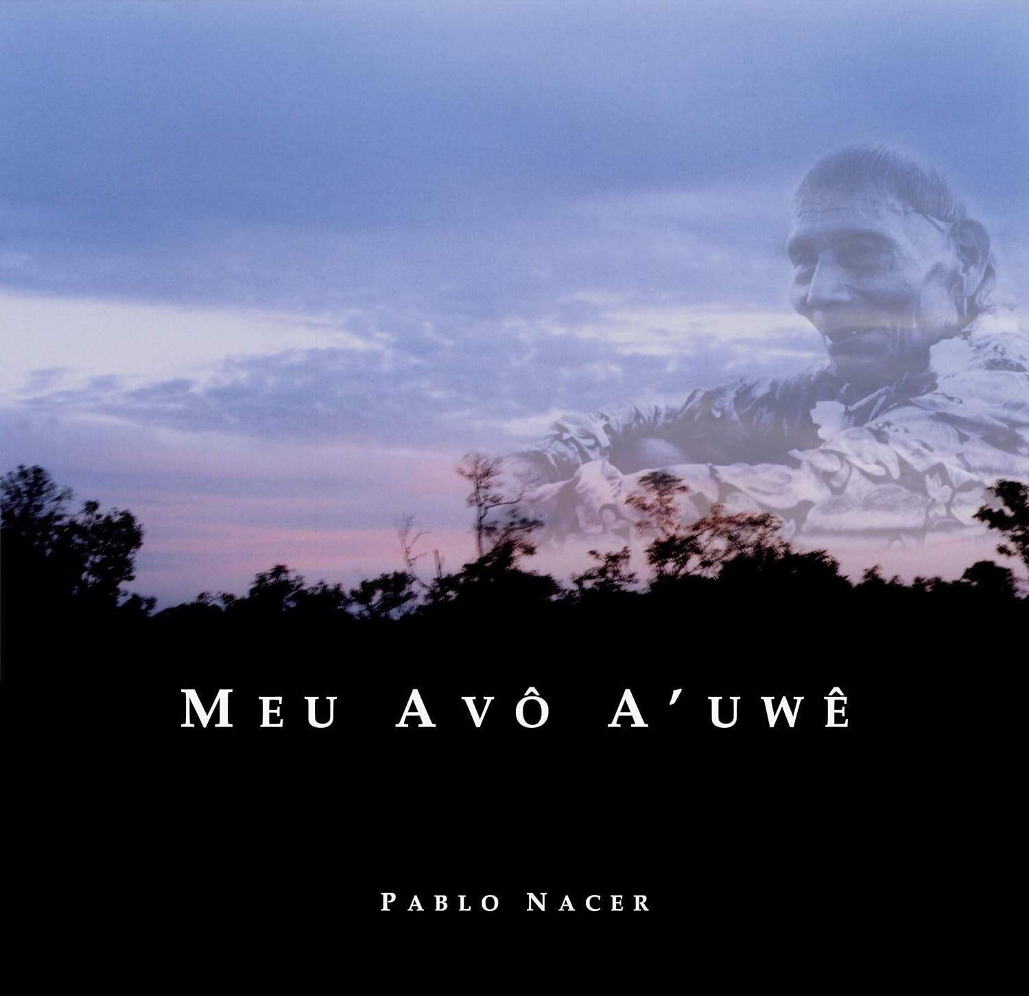 Meu Avô A'uwê: Relato de três visitas a uma aldeia indígena xavante baixar livro de graça