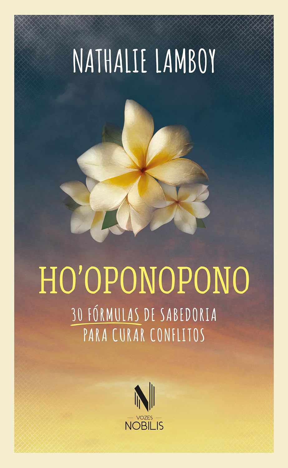 ler totalmente Ho'oponopono: 30 fórmulas de sabedoria para curar conflitos