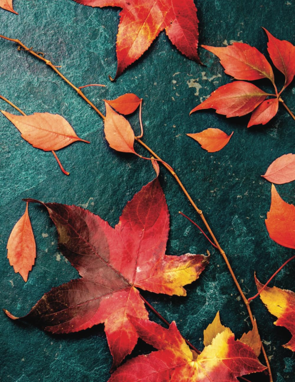 Autumn Leaves A4 Notebook: Autumn leaf Notebook with 300 ruled pages including margins_A4 size baixar livro de graça