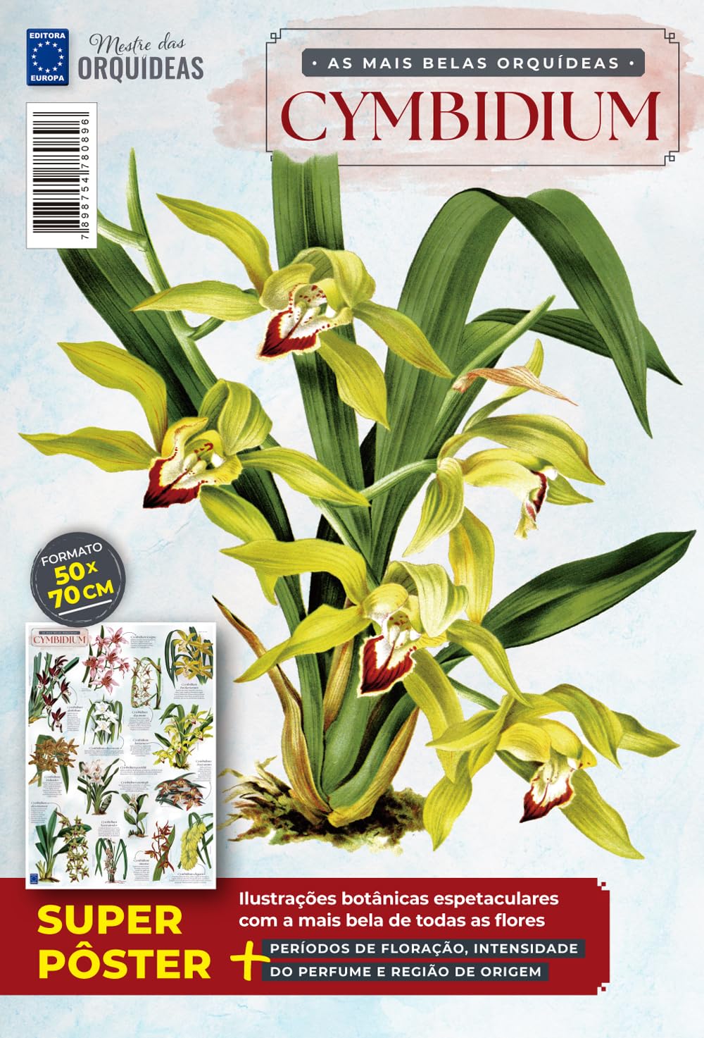capítulo por capítulo baixar As Mais Belas Orquídeas Cymbidium - Pôster Mestre das Orquídeas