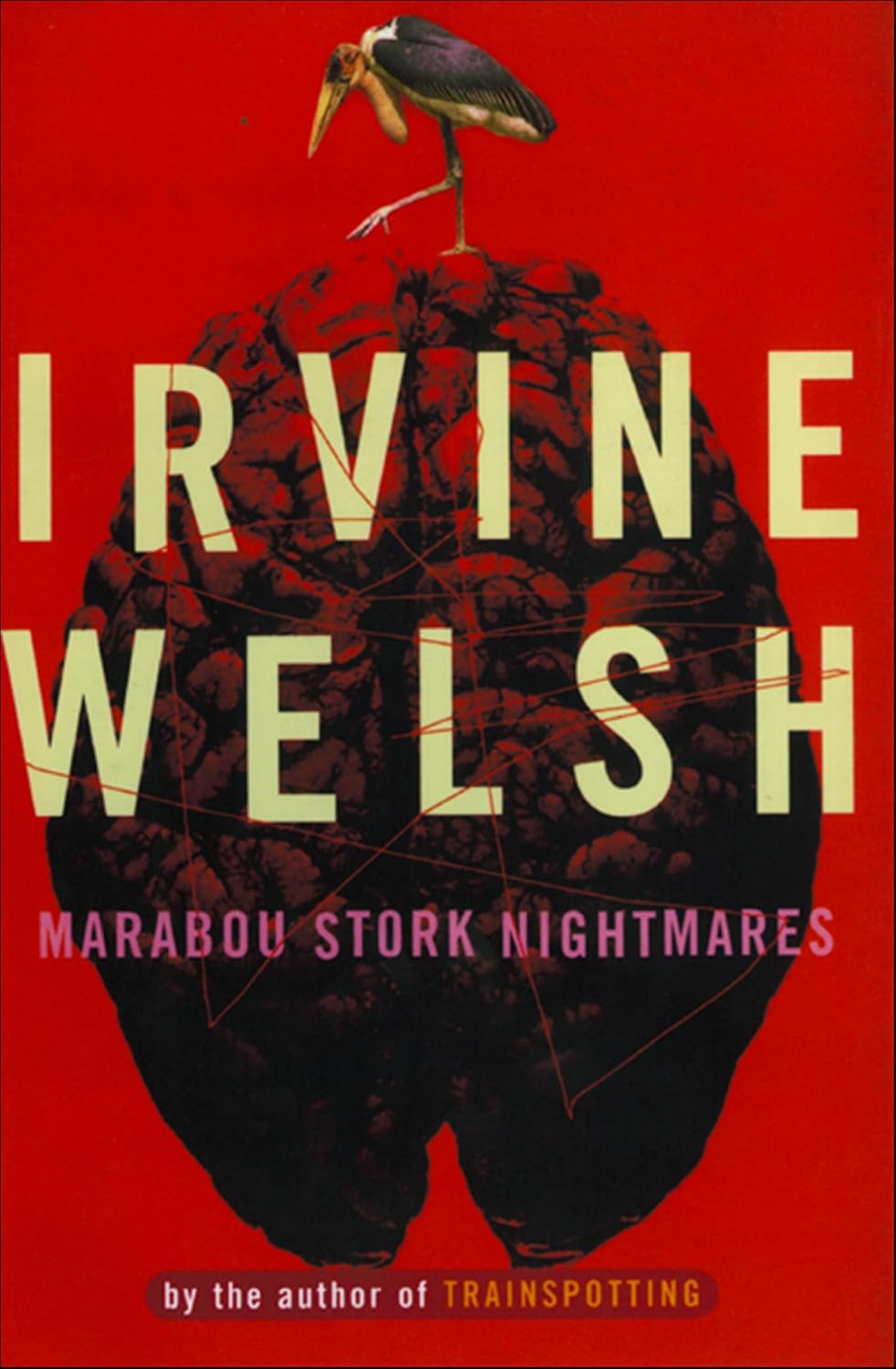 Marabou Stork Nightmares (English Edition)